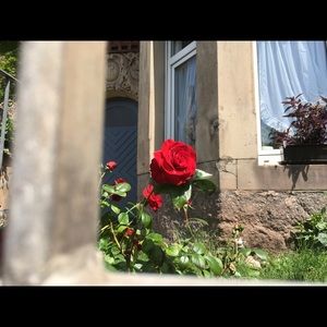 Meet your Posher, Desirae